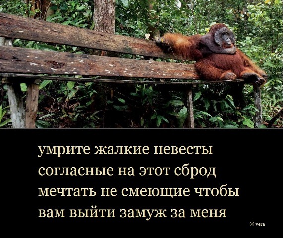 Не знаю, как назвать. Из соцсетей