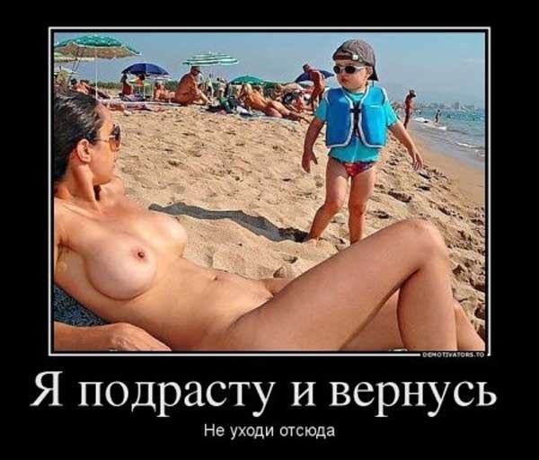 Комментарии из соцсетей, картинки