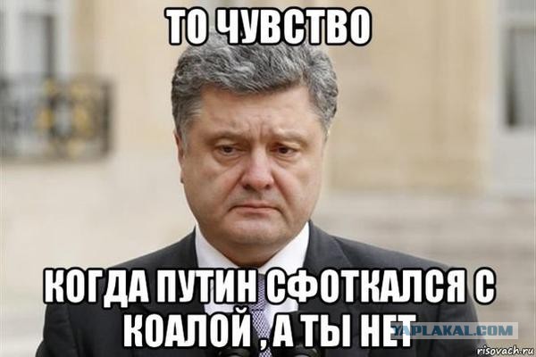Смешные комментарии из социальных сетей 15.11.14