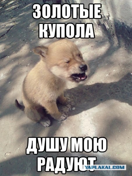 И все таки мы Мордор ))