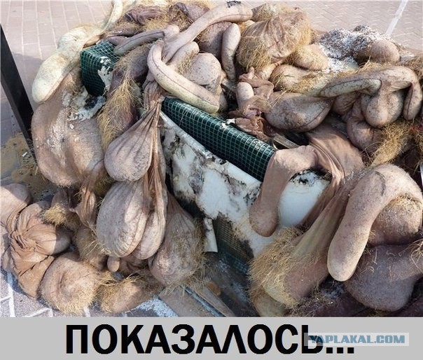 Весёлое из сети