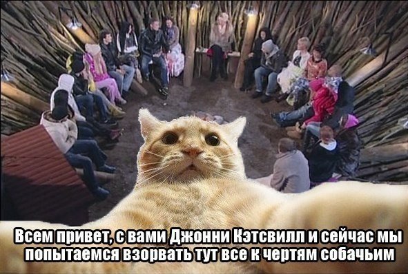 Смешные комментарии из социальных сетей