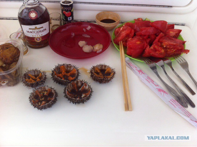 Картошка с кальмаром жареные