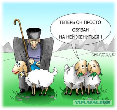 Просто картинки