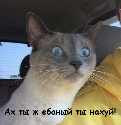 Любопытство и страх в одном лице