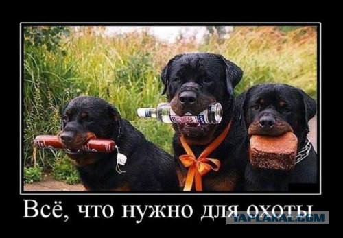 Картинки набрались разные