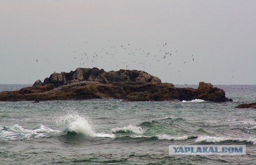 Самостоятельное путешествие в Шри-Ланку
