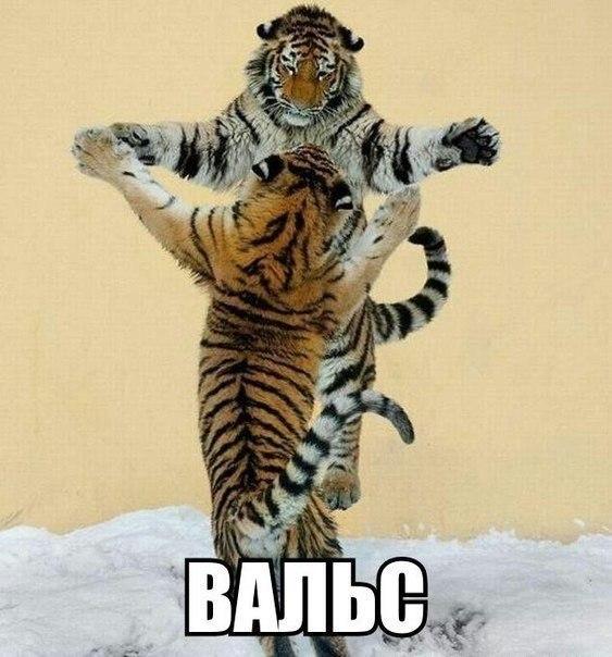 Картинки из ваших этих итернетов...