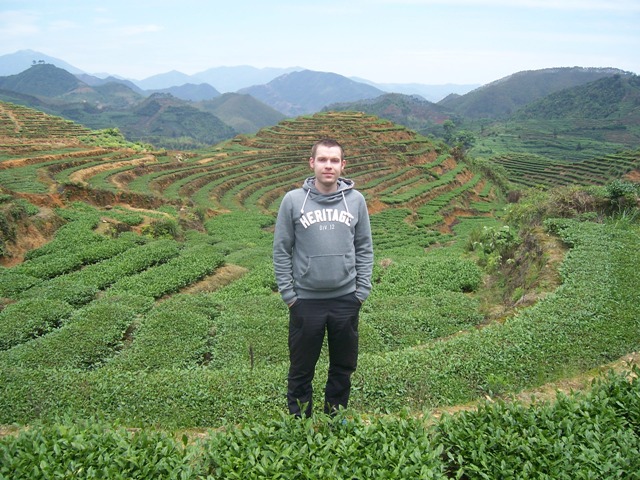 Ликбез по чаю из Китаю. Часть 1. Пуэр