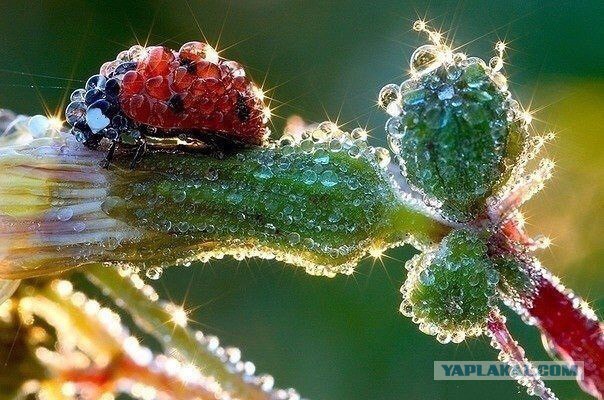 Интересные и веселые картинки