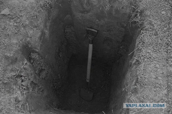 Спортивные девчонки