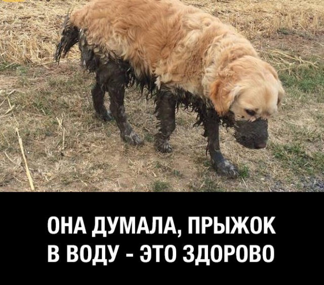Герда расскажет, как спастись от жары
