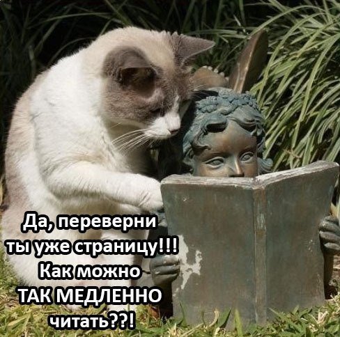 Воскресная порция перлов