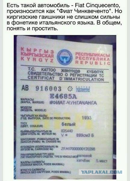 Весёлые картинки