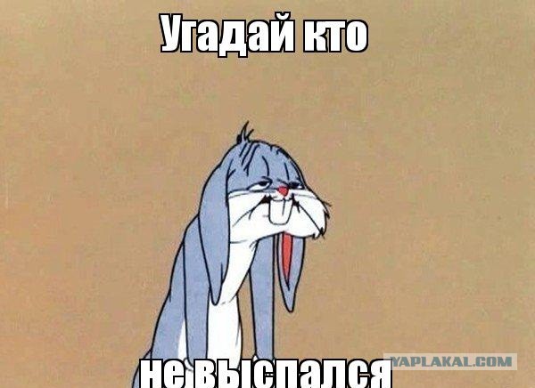 И так каждое утро...