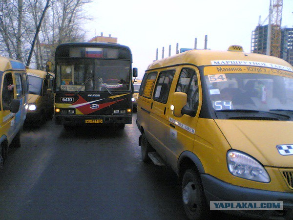 Водитель выгнал школьника из автобуса. Замминистра в шоке