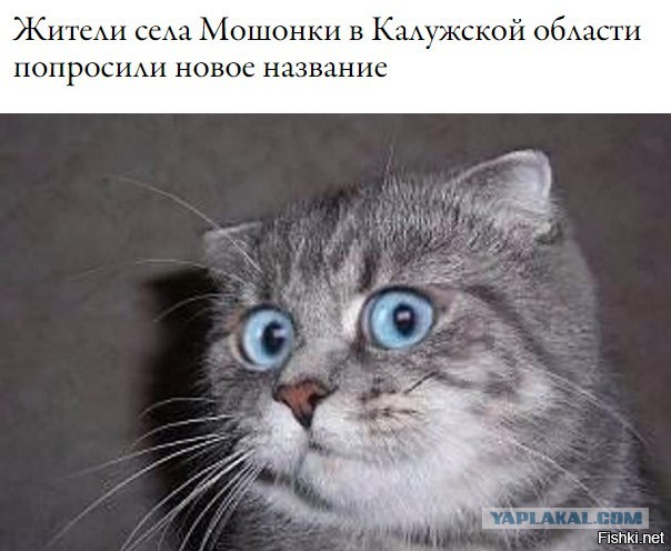 Картинки всяко-разные