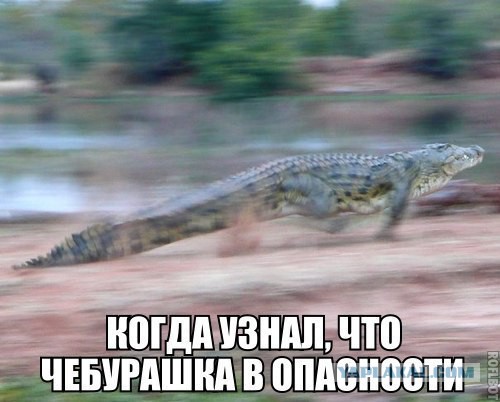 Субботний картиночный винегрет