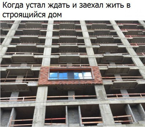 Подборка безудержного веселья
