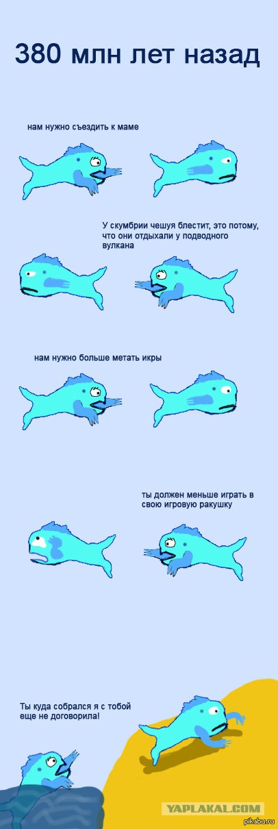Рыба, ползущая на дерево