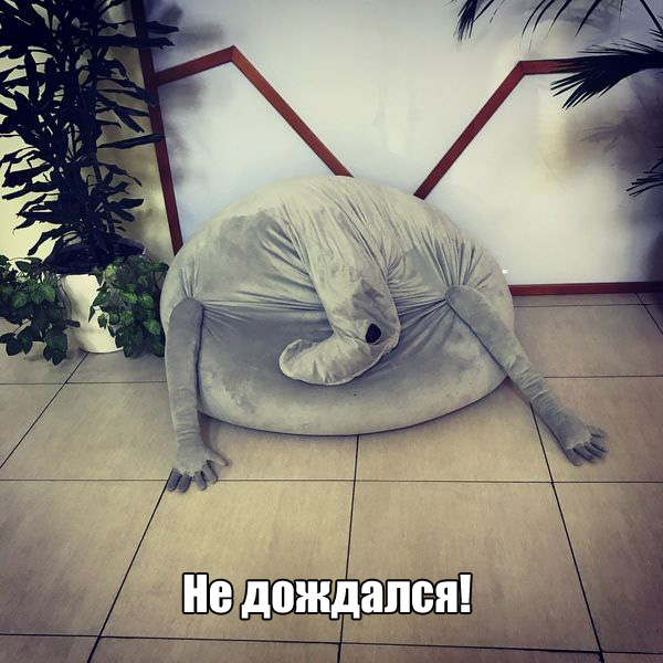 Подборка интересных и веселых картинок