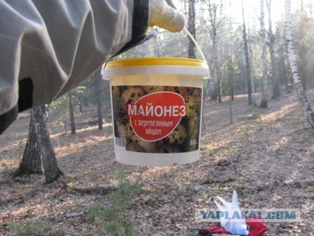 Конечно о вкусах не спорят, но...