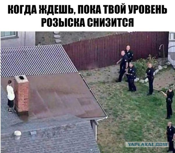 Немного деграданса