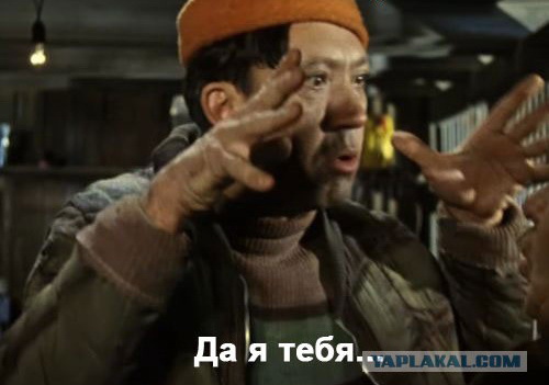 Оказывается, спирт может превратить медузу в хрустящий чипс