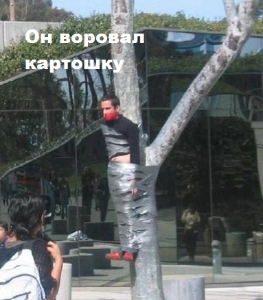 Подборка интересных и веселых картинок