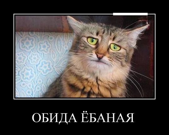 «Пенсильванский уголь» будут возить на Украину из Новороссийска?