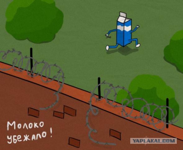 Немного нестандартного юмора в картинках
