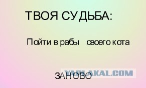 Генератор личности