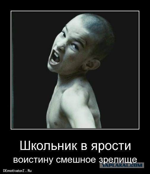 Лукьяненко: Про выборы. Короткое послесловие