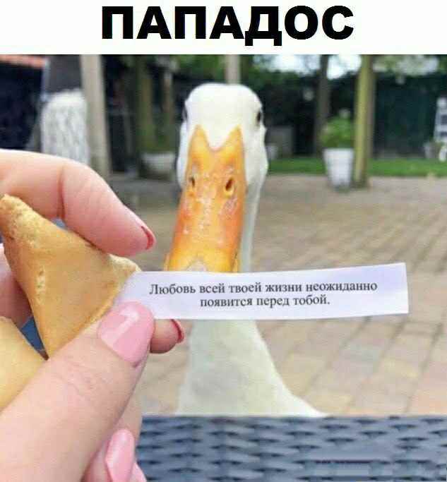 Коротко обо всём