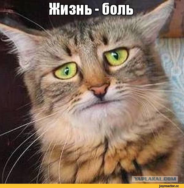 Письмо