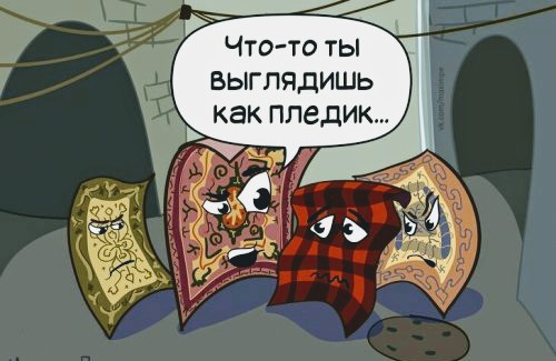 Анекдоты, соц-сети и картинки с надписями