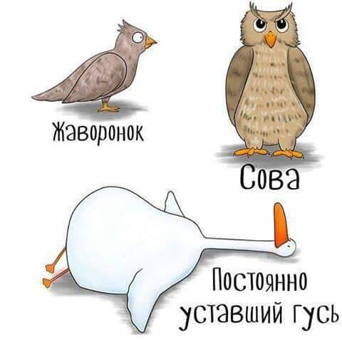 Спи или умрешь. 9 фактов о сне и его влиянии на нашу жизнь