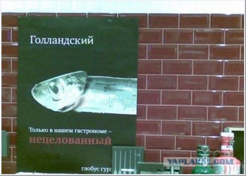 Голландская девственница