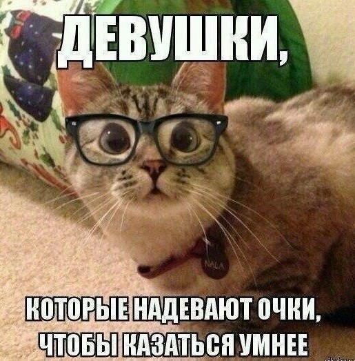 Котофотки с описанием