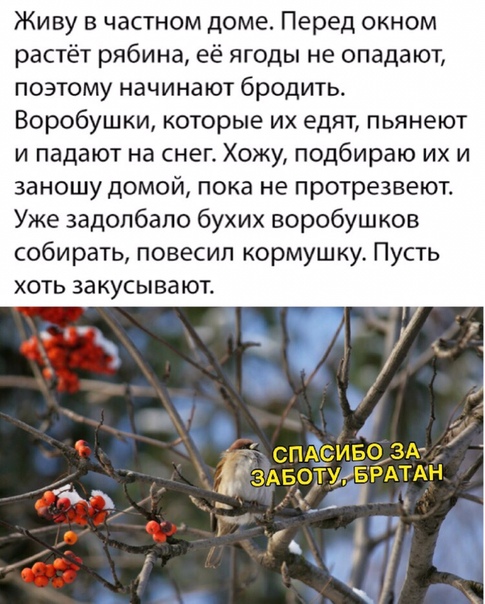 Так себе картинки 20.05.20
