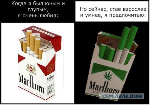 Фотожаба: Когда я был юным и глупым