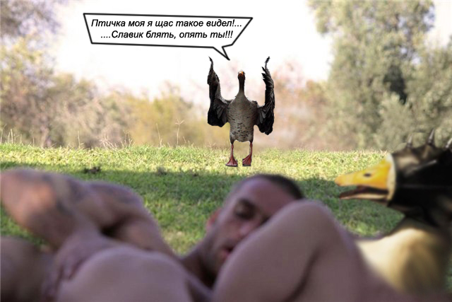 Фотожаба: Тут медвед не проходил?