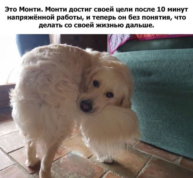 Бредзона 11.11.2020
