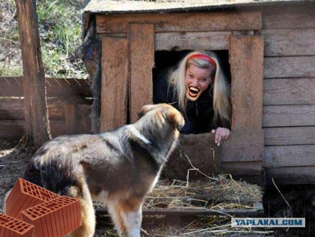 Фотожаба: Собака с Девушкой