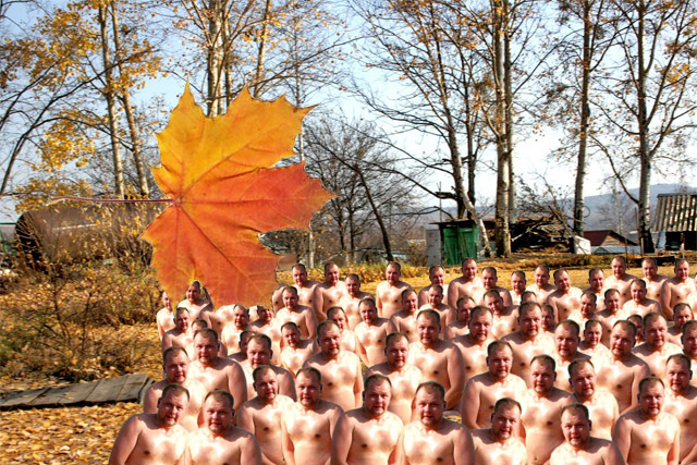 Осень наступила, падают листы