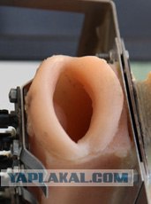 Поющий робот