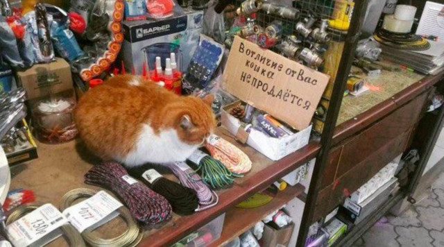 Картинки на вчера