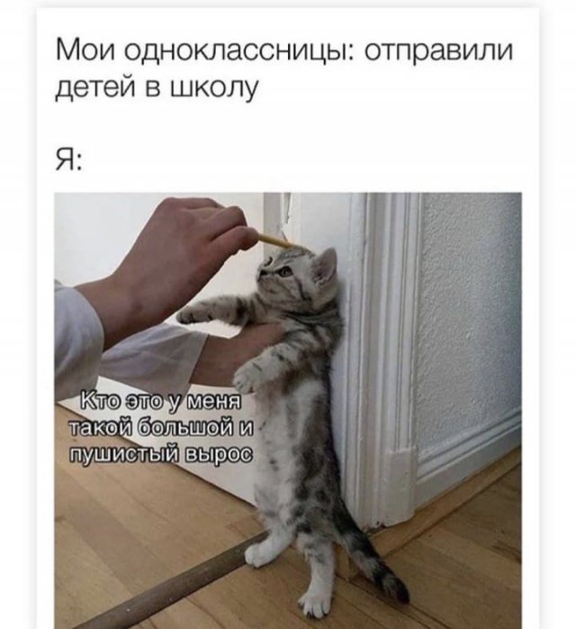 Баянисто-небаянистый юмор 10.09.21