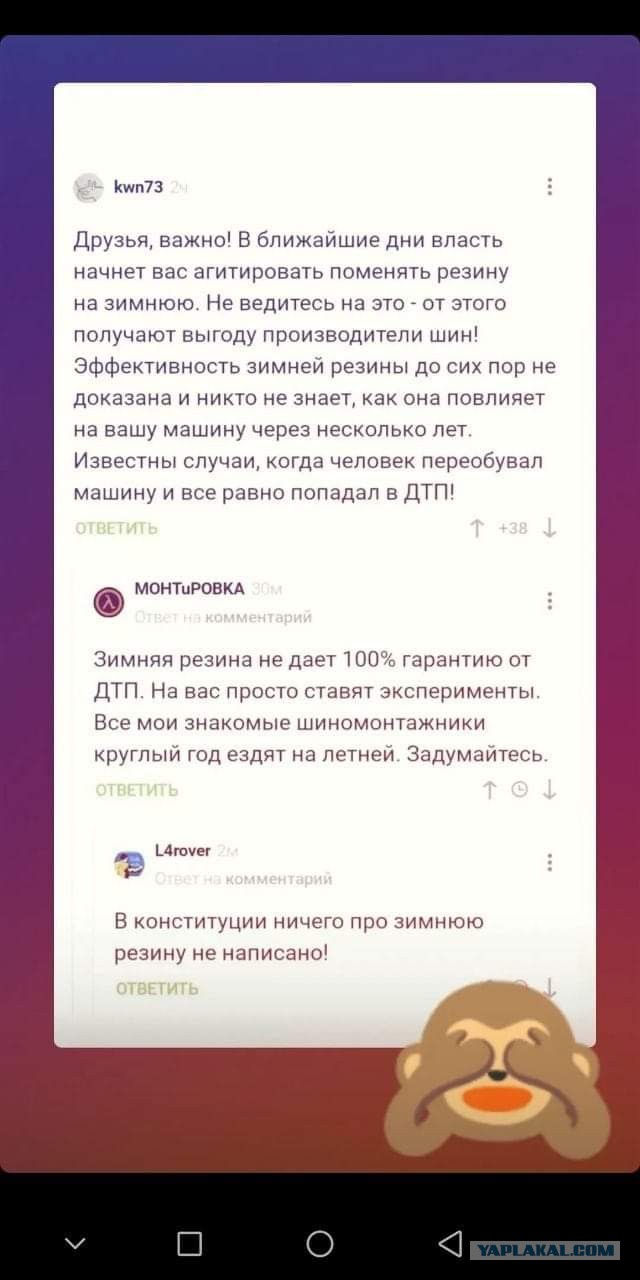 Всяческие картинки 24.11.2021