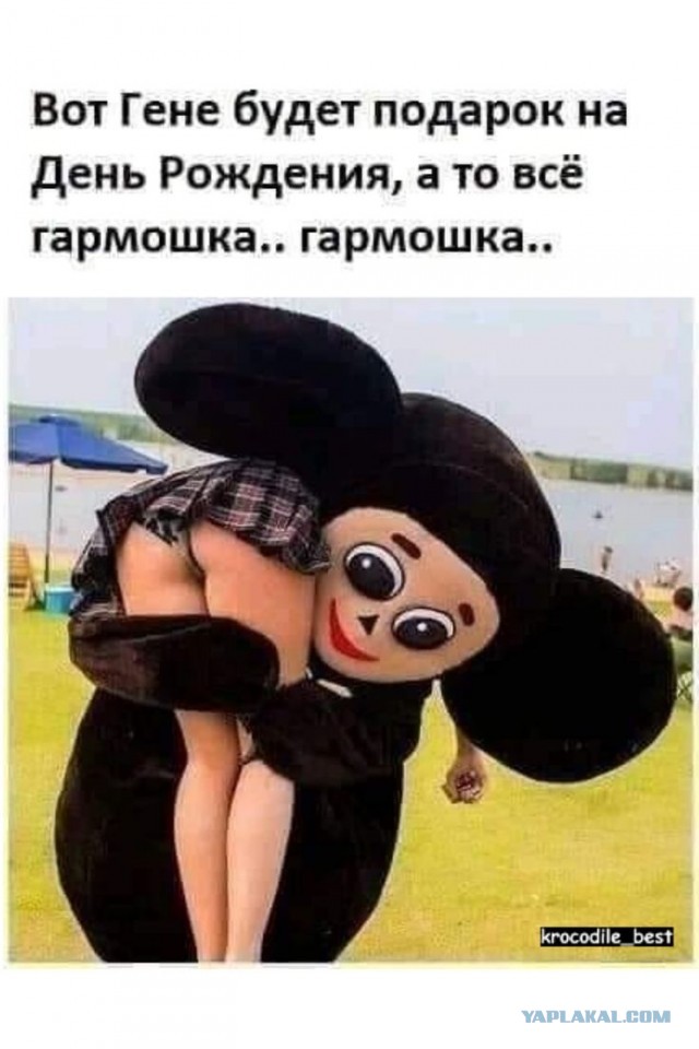Баянисто-небаянистый юмор 7.02.22